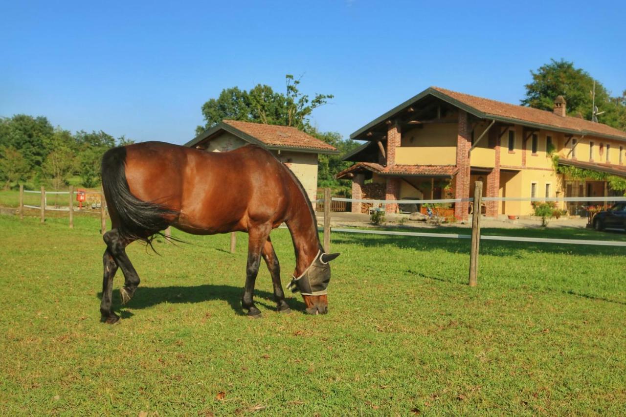 Agriturismo Helianthus Oleggio Bagian luar foto