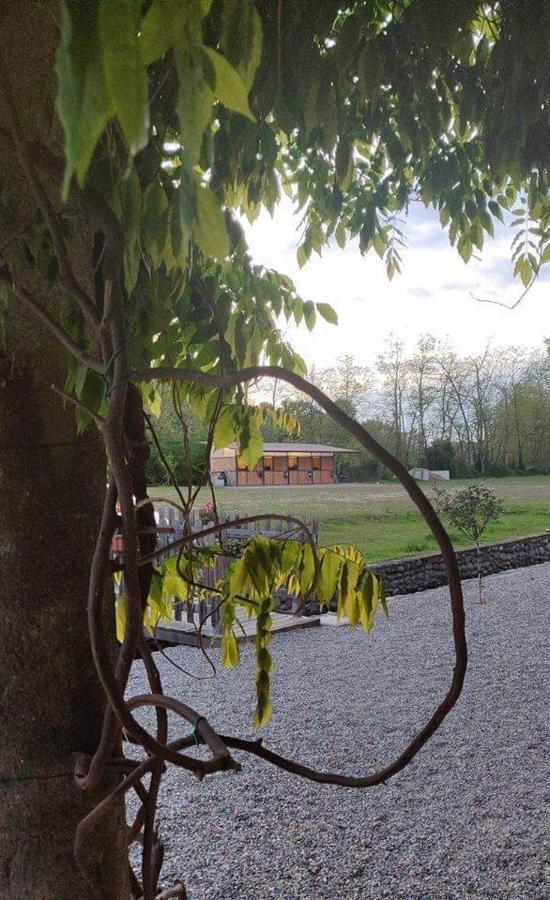 Agriturismo Helianthus Oleggio Bagian luar foto