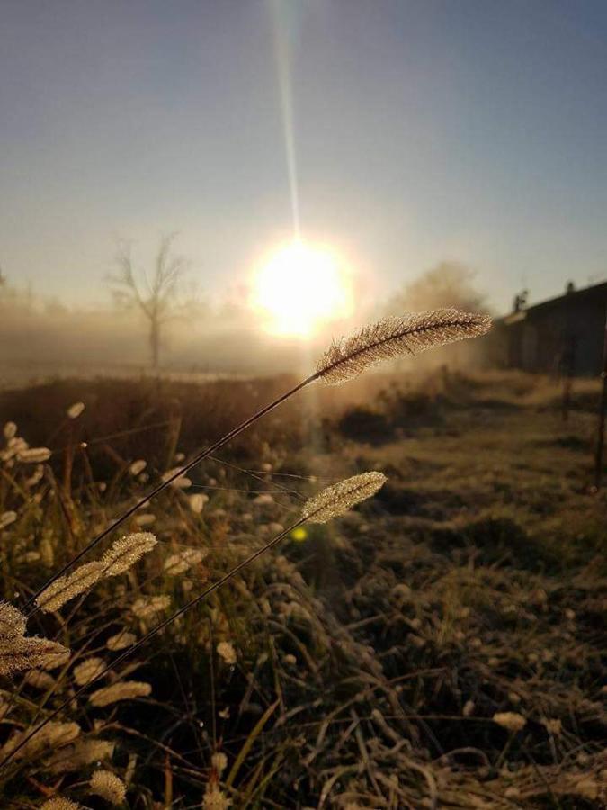 Agriturismo Helianthus Oleggio Bagian luar foto