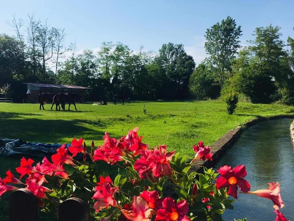 Agriturismo Helianthus Oleggio Bagian luar foto