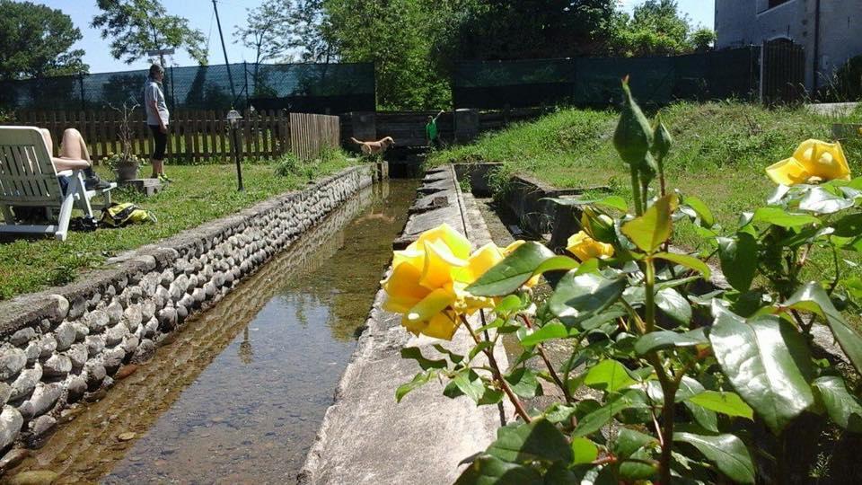 Agriturismo Helianthus Oleggio Bagian luar foto