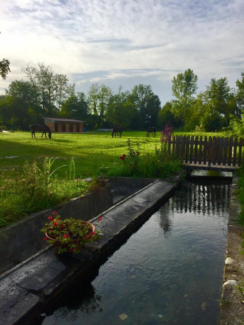 Agriturismo Helianthus Oleggio Bagian luar foto