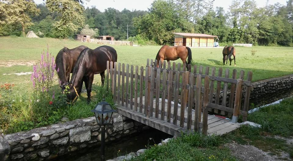 Agriturismo Helianthus Oleggio Bagian luar foto